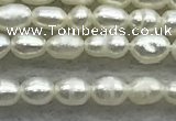 FWP154 14.5 inches 2mm - 3mm rice white freshwater pearl strands