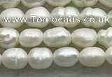 FWP157 14.5 inches 3mm - 4mm rice white freshwater pearl strands