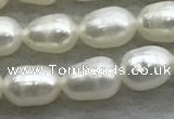 FWP167 14.5 inches 4mm - 5mm rice white freshwater pearl strands