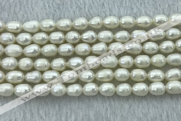 FWP174 14.5 inches 5mm - 6mm rice white freshwater pearl strands