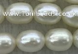 FWP182 15 inches 6mm - 7mm rice white freshwater pearl strands