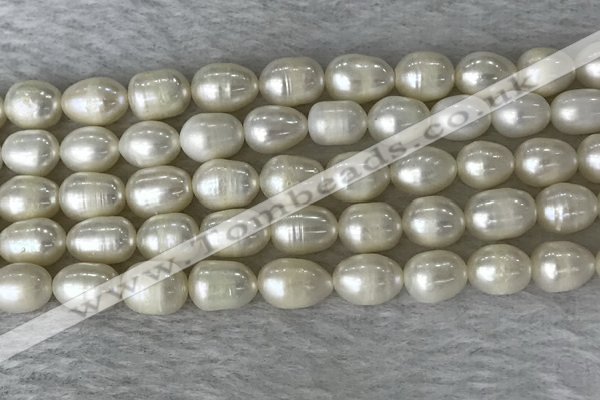 FWP190 15 inches 7mm - 8mm rice white freshwater pearl strands