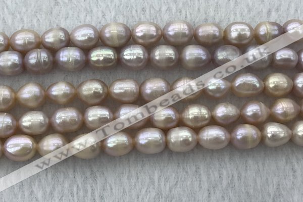 FWP197 15 inches 7mm - 8mm rice purple freshwater pearl strands