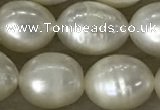 FWP200 15 inches 8mm - 9mm rice white freshwater pearl strands