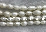 FWP205 15 inches 10mm - 11mm rice white freshwater pearl strands