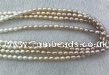 FWP210 15 inches 6mm - 7mm rice mixed color freshwater pearl strands