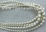 FWP212 15 inches 4mm - 9mm rice white freshwater pearl strands