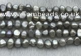 FWP246 15 inches 7mm - 8mm baroque grey freshwater pearl strands