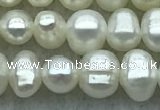 FWP28 14.5 inches 4.8mm potato white freshwater pearl strands