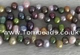 FWP342 Top-drilled 7mm - 8mm potato mixed freshwater pearl strands