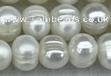 FWP37 14.5 inches 5mm - 6mm potato white freshwater pearl strands