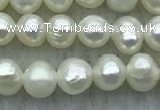 FWP38 14.5 inches 3mm - 4mm potato white freshwater pearl strands