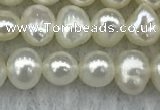 FWP40 14.5 inches 4mm - 5mm potato white freshwater pearl strands