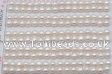 FWP454 half-drilled 5-5.5mm bread freshwater pearl beads