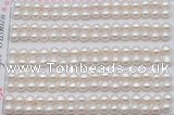 FWP454 half-drilled 5-5.5mm bread freshwater pearl beads