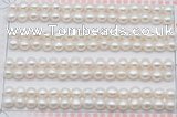 FWP455 half-drilled 5.5-6mm bread freshwater pearl beads