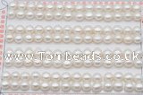 FWP456 half-drilled 6-6.5mm bread freshwater pearl beads