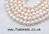 FWP482 14 inches 7mm - 8mm potato white freshwater pearl strands