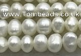 FWP51 14.5 inches 3mm - 4mm potato white freshwater pearl strands