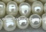 FWP55 15 inches 6mm - 7mm potato white freshwater pearl strands