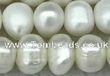 FWP65 15 inches 7mm - 8mm potato white freshwater pearl strands