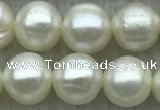 FWP72 15 inches 7mm - 8mm potato white freshwater pearl strands