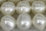 FWP79 15 inches 7mm - 8mm potato white freshwater pearl strands