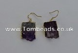 NGE5025 15*16mm - 15*20mm freeform druzy amethyst earrings