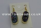 NGE5134 10*22mm - 12*25mm freeform plated druzy quartz earrings