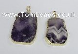 NGP2393 25*35mm - 30*45mm freeform dogtooth amethyst pendants