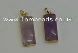 NGP6200 14*30mm - 15*38mm faceted rectangle amethyst pendants