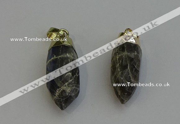 NGP6245 12*28mm - 15*30mm faceted bullet labradorite pendants