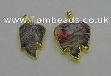 NGP6687 20*25mm - 25*30mm leaf agate gemstone pendants wholesale