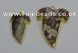 NGP6691 25*30mm - 30*40mm tooth agate gemstone pendants wholesale