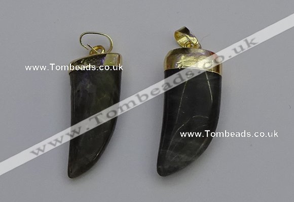 NGP7038 12*35mm - 14*40mm horn labradorite pendants wholesale