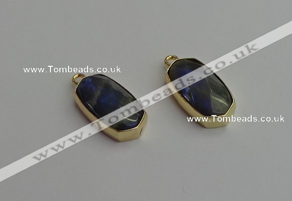 NGP7270 13*25mm faceted freeform labradorite pendants wholesale