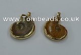 NGP8874 22*26mm - 30*35mm carved ammonite gemstone pendants